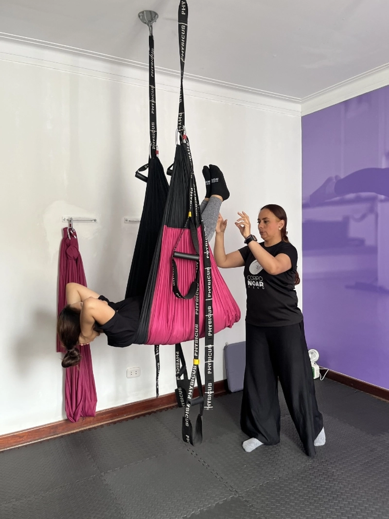 Entrenamiento Aéreo